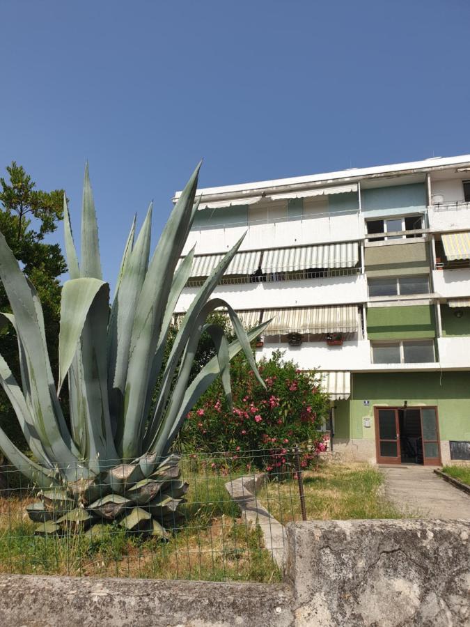 Apartment Maeistro By Privileggio Residence Rovinj Kültér fotó